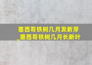 墨西哥铁树几月发新芽_墨西哥铁树几月长新叶