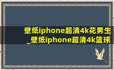 壁纸iphone超清4k花男生_壁纸iphone超清4k篮球