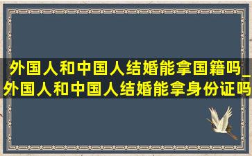 外国人和中国人结婚能拿国籍吗_外国人和中国人结婚能拿身份证吗