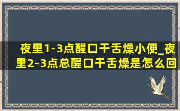 夜里1-3点醒口干舌燥小便_夜里2-3点总醒口干舌燥是怎么回事