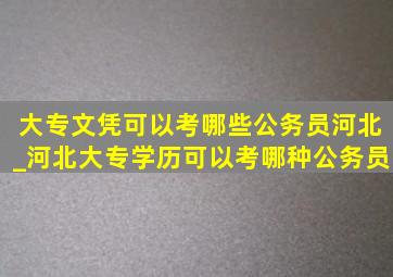 大专文凭可以考哪些公务员河北_河北大专学历可以考哪种公务员