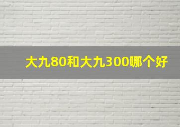 大九80和大九300哪个好