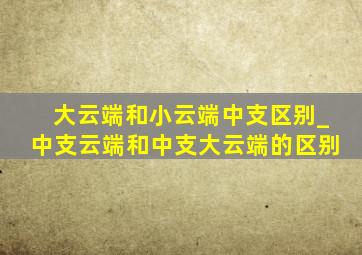 大云端和小云端中支区别_中支云端和中支大云端的区别