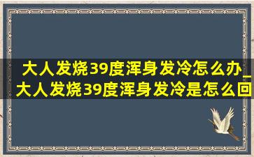 大人发烧39度浑身发冷怎么办_大人发烧39度浑身发冷是怎么回事