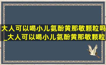 大人可以喝小儿氨酚黄那敏颗粒吗_大人可以喝小儿氨酚黄那敏颗粒