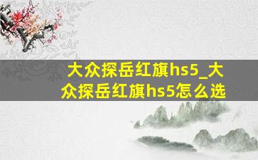 大众探岳红旗hs5_大众探岳红旗hs5怎么选