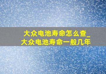 大众电池寿命怎么查_大众电池寿命一般几年