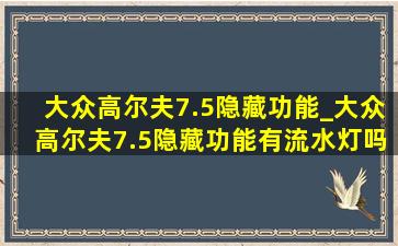 大众高尔夫7.5隐藏功能_大众高尔夫7.5隐藏功能有流水灯吗