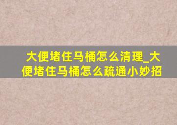 大便堵住马桶怎么清理_大便堵住马桶怎么疏通小妙招