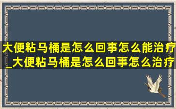 大便粘马桶是怎么回事怎么能治疗_大便粘马桶是怎么回事怎么治疗