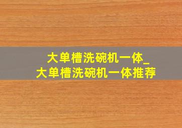 大单槽洗碗机一体_大单槽洗碗机一体推荐