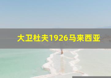 大卫杜夫1926马来西亚