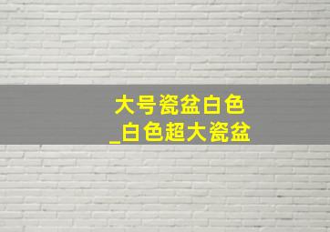 大号瓷盆白色_白色超大瓷盆