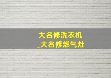 大名修洗衣机_大名修燃气灶