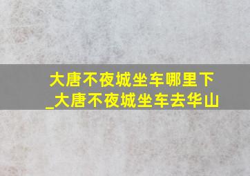 大唐不夜城坐车哪里下_大唐不夜城坐车去华山