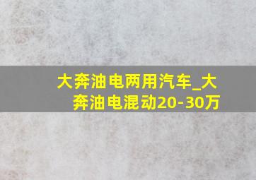 大奔油电两用汽车_大奔油电混动20-30万