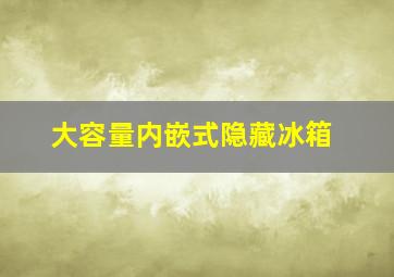 大容量内嵌式隐藏冰箱