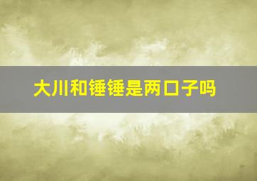 大川和锤锤是两口子吗