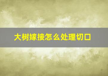 大树嫁接怎么处理切口