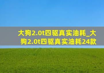 大狗2.0t四驱真实油耗_大狗2.0t四驱真实油耗24款