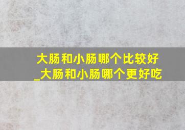 大肠和小肠哪个比较好_大肠和小肠哪个更好吃