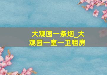 大观园一条烟_大观园一室一卫租房