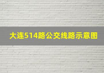 大连514路公交线路示意图