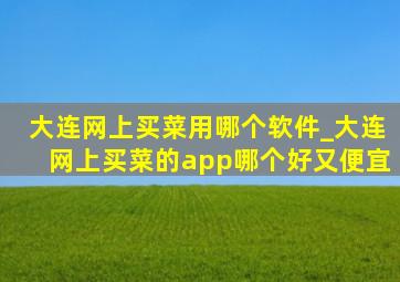 大连网上买菜用哪个软件_大连网上买菜的app哪个好又便宜