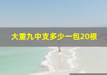 大重九中支多少一包20根