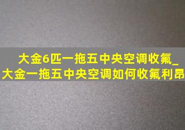 大金6匹一拖五中央空调收氟_大金一拖五中央空调如何收氟利昂