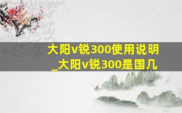 大阳v锐300使用说明_大阳v锐300是国几