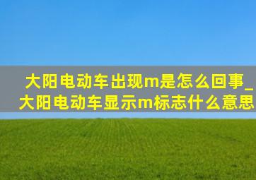 大阳电动车出现m是怎么回事_大阳电动车显示m标志什么意思