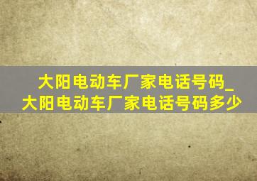 大阳电动车厂家电话号码_大阳电动车厂家电话号码多少