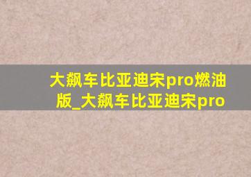 大飙车比亚迪宋pro燃油版_大飙车比亚迪宋pro