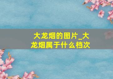 大龙烟的图片_大龙烟属于什么档次