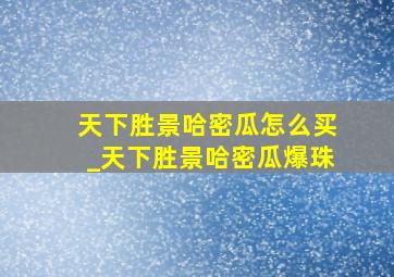 天下胜景哈密瓜怎么买_天下胜景哈密瓜爆珠