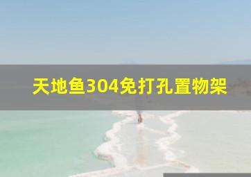 天地鱼304免打孔置物架