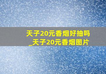 天子20元香烟好抽吗_天子20元香烟图片