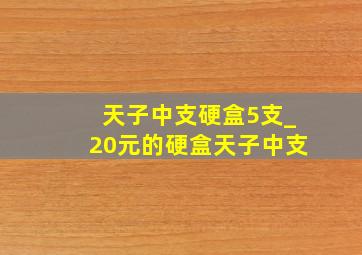 天子中支硬盒5支_20元的硬盒天子中支