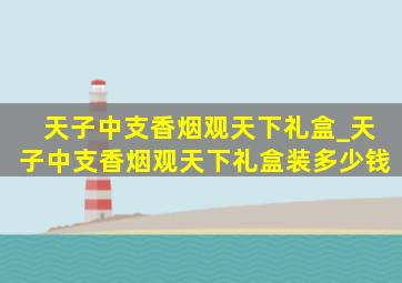 天子中支香烟观天下礼盒_天子中支香烟观天下礼盒装多少钱