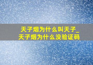 天子烟为什么叫天子_天子烟为什么没验证码