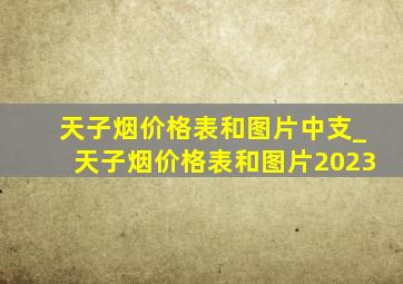 天子烟价格表和图片中支_天子烟价格表和图片2023