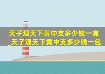 天子观天下黄中支多少钱一盒_天子观天下黄中支多少钱一包