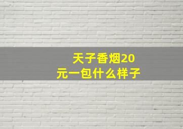 天子香烟20元一包什么样子