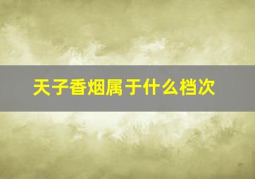 天子香烟属于什么档次