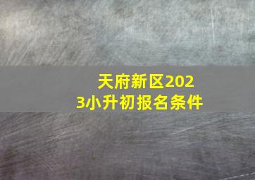 天府新区2023小升初报名条件