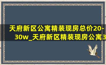 天府新区公寓精装现房总价20-30w_天府新区精装现房公寓36万