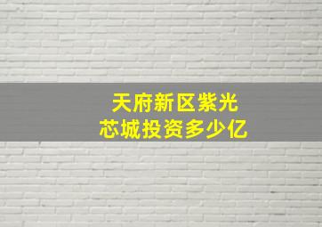 天府新区紫光芯城投资多少亿