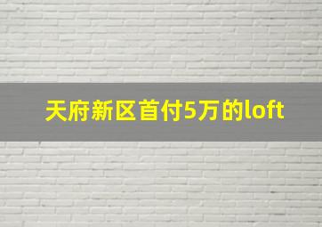 天府新区首付5万的loft