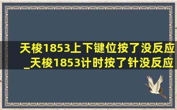 天梭1853上下键位按了没反应_天梭1853计时按了针没反应